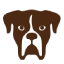 Rescue Icon